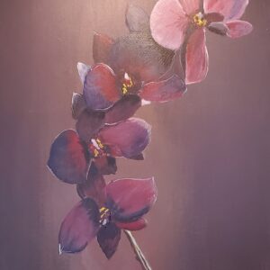 Orchids - Orchidées (# 183)