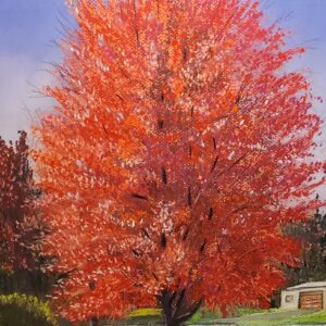 Fall Maple (# 160)