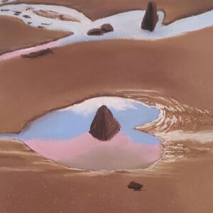 PASTEL VEINS OF COASTLINE (# 209)