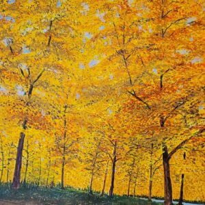 MOUNT ROYAL (MONTREAL) - (#214)