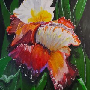 IRIS GERMANICA (# 232)